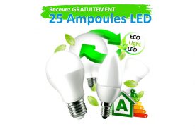 25 ampoules LED Eco light Gratuites