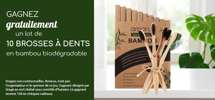 Lot 10 brosses à dents bambou biodégradable