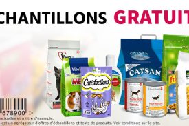 échantillon croquette chien chat gratuit, échantillon chien chat gratuit,échantillon gratuit friandise pour chien chat,échantillon gratuit nourriture chat chien