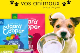 echantillon nourriture chien Edgar & Cooper, echantillon alimentation chien Edgar & Cooper, echantillons gratuits nourriture chien Edgar & Cooper, echantillons gratuits alimentation chien Edgar & Cooper,