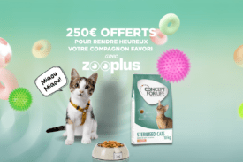 échantillon gratuit pour chat, échantillon gratuit chaton