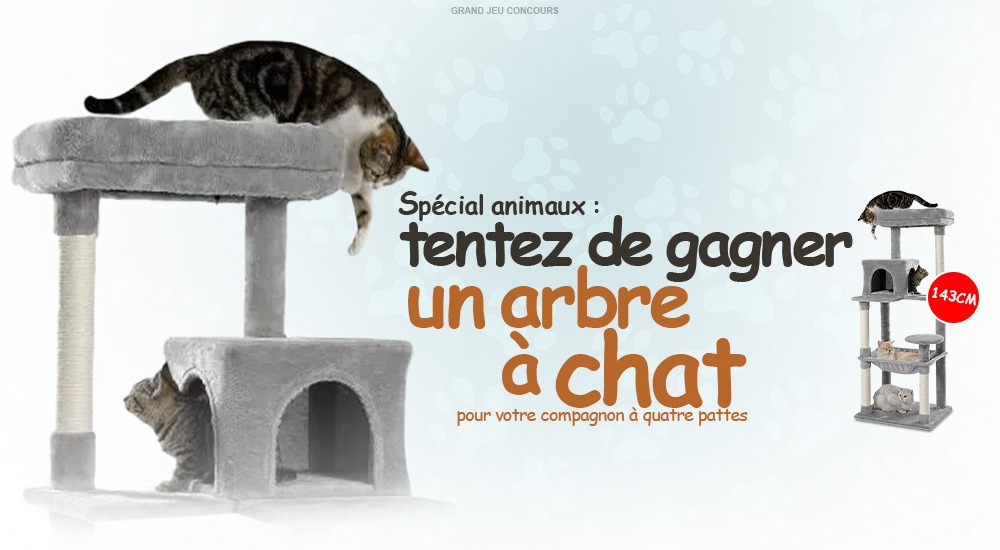 Gagnez un arbre à chat gratuitement