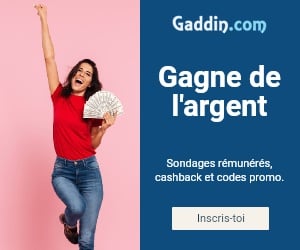 avis rémunérés Gaddin, enquete rémunérée Gaddin, sondage rémunéré Gaddin